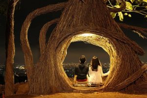 Hutan-Pinus-Pengger