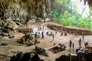 Keajaiban Misteri Evolusi Manusia Wisata Gua Liang Bua